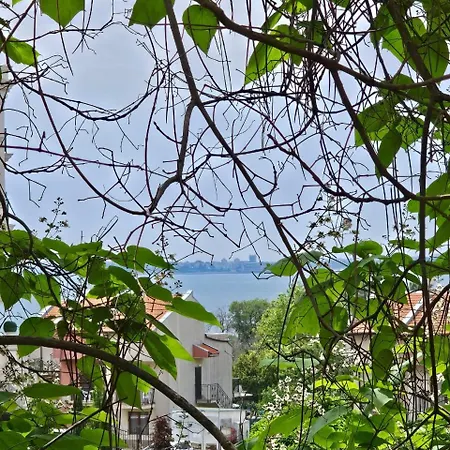 Three-room Apartament *